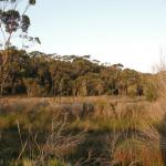 Cape Conran Coastal Park